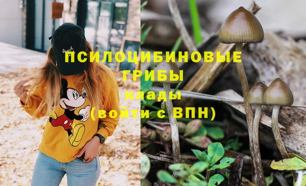 каннабис Иннополис