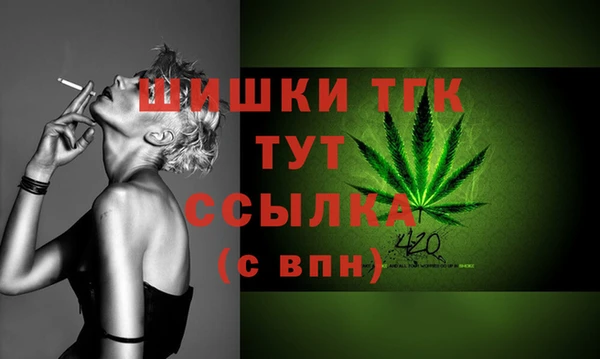 винт Каменка