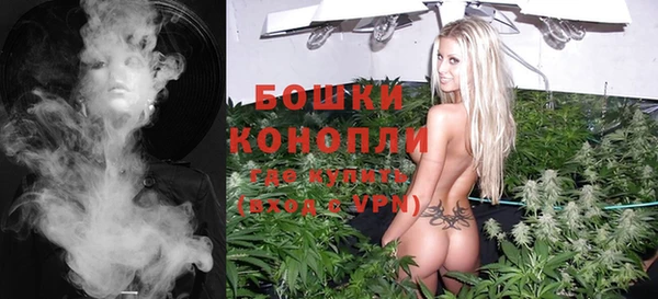 винт Каменка