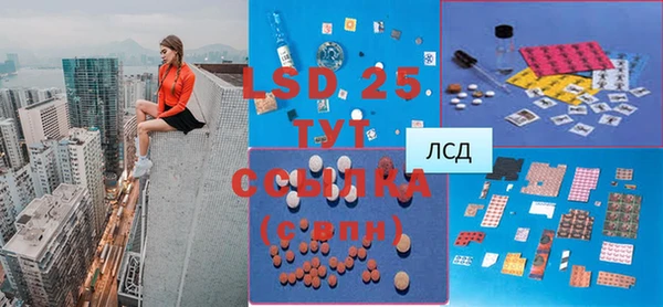 стаф Каменногорск