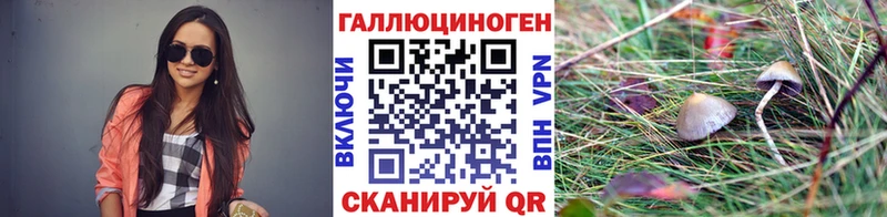 Псилоцибиновые грибы Cubensis  Купить закладки  Зерноград 